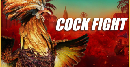 Cock fight